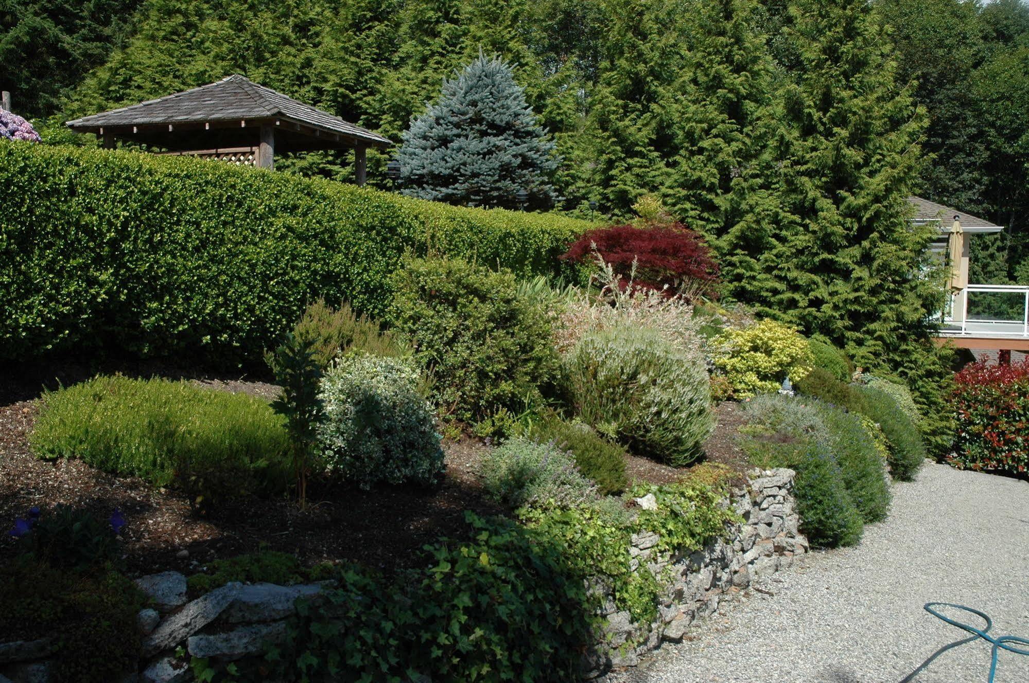 At The Shore Bed And Breakfast Sechelt Exterior foto